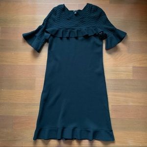 Like New! Ann Taylor fit & flair ruffle sleeve dress